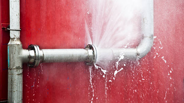 Best Flooded house restoration  in Sinton, TX